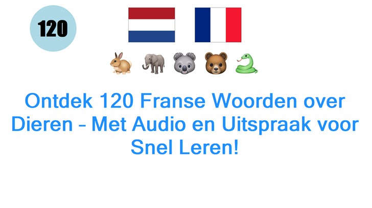 Ontdek 120 Franse Woorden over Dieren – Met Audio en Uitspraak voor Snel Leren!